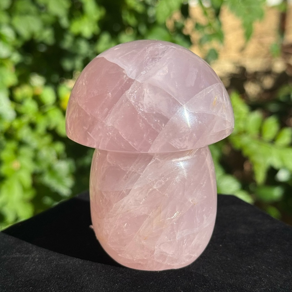 Rose Quartz Mushroom - Picture 4 of 4
